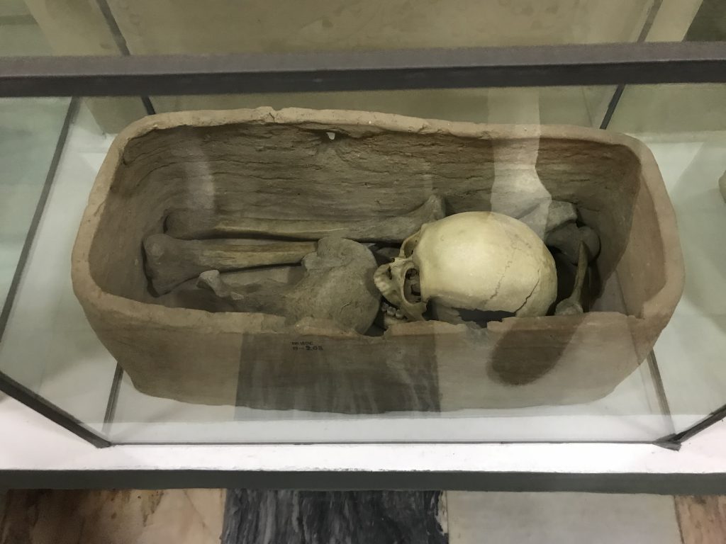 アフラシャブ博物館　鳥葬